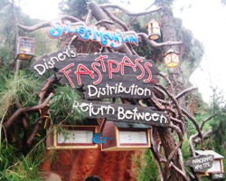 Sandblasted Cedar Wood Signs for Disneyland Resort Anaheim